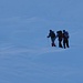 Un mare di bianco