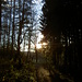 Schon nach dem Wasserreservoir. Hier tritt man aus dem Wald hinaus.