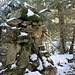 Kuriose Steinformationen am Gipfel, versteckt im Unterholz