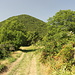 Im Aufstieg von Medvědice zum Lipská hora - Ein Feldweg führt vom Ort an den Berg heran. Foto vom 03.08.2013.