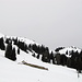 Nach dem "Grüenen Wald" kommt man zur Alphütte Untersäss 1631 m