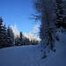 Heute gehen wir entlang der Piste. Die Abzweigung nach rechts (üblicher Anstieg) hat zu wenig Schnee.