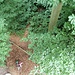 Blick hinunter