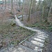 Über eine kurze Strecke auf dem Vita Parcours