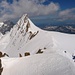 die letzten Meter zu Fuss zum Gipfel, im Hintergrund das Gross Fiescherhorn 4049m und der Eiger 3970m