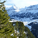 Blick auf Grindelwald mit markantem Schreckhorn