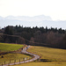 Hügelige Landschaft mit Zugspitze im Hintergrund