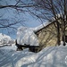 La bella Alpe Spino sommersa nella neve