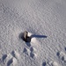 Schneehöhenmessgerät mit Spuren