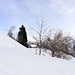 Winter in Rüsca auf ca. 1300 m