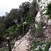 Vom Gipfel aus kann man auf die steile O-Seite des Felsens ueber die "Mediterranean Steps" absteigen. 