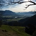 Aufstieg aus dem Rheintal (Rüthi)