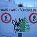 ma questo cartello è per i cervi o per gli scialpinisti? :-)