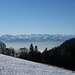 herrlicher Blick in die Zentralschweiz und bis zu den Berner Alpen