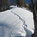 bene: da qui bisogna battere la neve,la traccia che si nota è di qualche ungulato