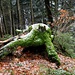 unterwegs zum Grat zur Hornbachegg - diesmal ein anderes Holzgebilde