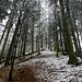 lauschiges Gratwandern 1