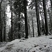 lauschiges Gratwandern 2
