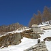 Alpe Predenon (alexsky)