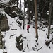 eine weitere erstaunlich eingeschneite wildromantische (und gesicherte) Passage entlang der immensen Nagelfluh-Felsen ...
(interessant: neu ist diese Route als Bergweg ausgeschildert - am Baumstamm hinter mir erkennbar, während am alten, abgestorbenem Baum rechts vor mir noch das Wanderwegzeichen prangt)