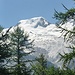 Aussicht von der Trift Alp - Alphubel