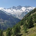 Almageller Tal, im Hintergrund die Mischabelgruppe