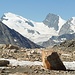 Aussicht von der Almageller Hütte, Strahlhorn, Rimpfischhorn und Allalinhorn
