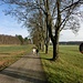Viel Betrieb auf dem Weg vom Gestüt-Gasthof zum Fohlenhof