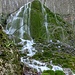 herrliches grünes Moos im "tiefsten" Winter, könnte ich mir mit Eis auch ganz nett vorstellen