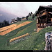 Bergbauernhöfe Larcha, Ortler Alpen, Ultental, Südtirol, Italien