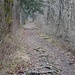 Zum Schluss nochmals der Wanderweg