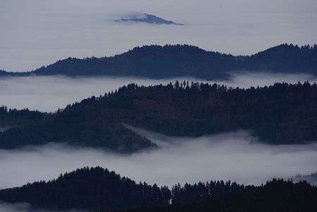 Aussicht vom Blauen (1164,7m): So schön kann Nebel sein wenn man darüber steht.