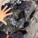Lots of [http://en.wikipedia.org/wiki/Obsidian Obsidian] on the way up to highest point of Panum Crater