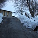 <b>Così come tre settimane fa, come esco dall’auto arrivano i cinque cani delle vicine cascine, in attesa della passeggiata. </b>