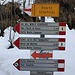 <b>Bocchetta d'Orimento (1275 m).</b>