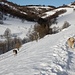 <b>Dopo un’ora di cammino, senza grande convinzione chiedo loro di tornare a casa. Inaspettatamente eseguono l’ordine e fanno dietro front. </b>