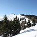<b>Alla destra è un continuo fruscio di blocchi di neve che precipitano dagli abeti, alla sinistra osservo la spettacolare Alpe Pesciò, sul fianco della Valle Erba Fredda e davanti appaiono le due cime che desidero raggiungere: è uno spettacolo!</b>