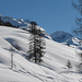 Winterlandschaft im Val Fex