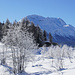 Winter in der Gravatscha