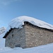 Alp Val d'Olgia P.2063
