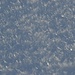 Die Schneeoberfläche: hier wünscht man sich jetzt ein lichtstarkes Makroobjektiv. Wann ist Weihnachten? :-)