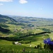 Blick über das liebliche Hügelland des Appenzells: Heimat!