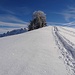 Hinterfallenchopf, mit separater Spur für Schneeschuhläufer und Skitourenfahrer