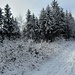 sieht fast aus wie im tiefsten Winter
