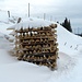 auf Farnli: Winterarbeit - für den Alpsommer