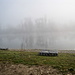 mystischer Nebel liegt noch über dem Rhein