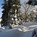 Unberührte Landschaft, eine Szene wie aus einem Märchen