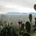 Kaktus und Aurunci-Gebirge