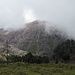 Die "graue Flanke" des Turrialba-Vulkanes. Saurer Regen hat der Vegetation zugesetzt.