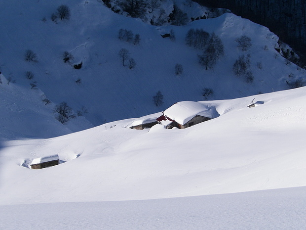 Alpe Montoia 1633m Tourenberichte und Fotos